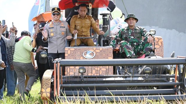 Bupati Sidrap Syaharuddin Alrif, melakukan Panen seluas 52 hektare di Kelurahan Majjelling Wattang, Kecamatan Maritengngae.