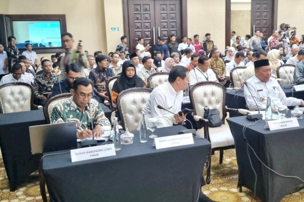 Pemkab Lutim Paparkan EPTD pada High Level Meeting TPID dan TP2DD