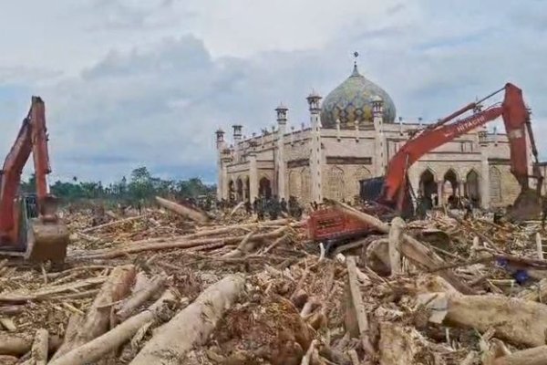 Kemenhut Perkuat Kolaborasi Lintas Sektor untuk Percepatan Pembersihan Kayu Banjir di Aceh, Sumut, dan Sumbar