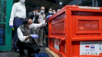 Kemenhut Repatriasi Empat Orangutan Korban Perdagangan Ilegal dari Thailand