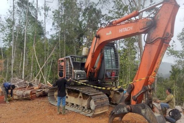 Diduga Marak Pencucian Kayu, Gakkum Kehutanan Amankan Ekskavator dan Kayu Bulat di Tapanuli Selatan