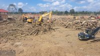 Kemenhut Percepat Pembersihan Kayu Limbah Bencana di Aceh, Sumatera Utara, dan Sumatera Barat