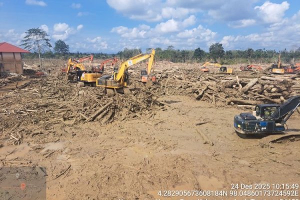 Kemenhut Percepat Pembersihan Kayu Limbah Bencana di Aceh, Sumatera Utara, dan Sumatera Barat