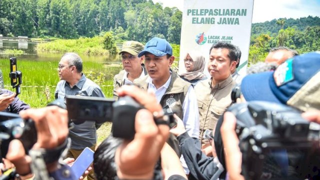 Raja Dirgantara Kembali ke Langit Jawa: Pelepasliaran Elang Jawa di Taman Nasional Gunung Gede Pangrango