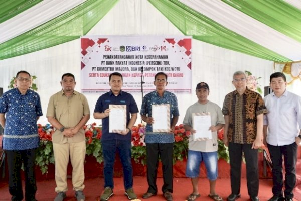 OJK dan Pemkab Luwu Timur Edukasi Keuangan untuk Petani Kakao