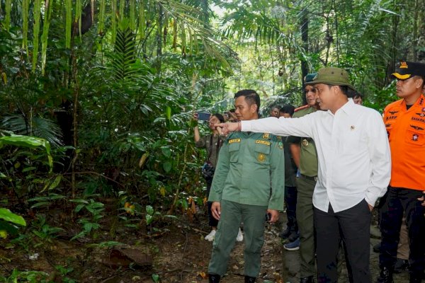 Menhut Raja Juli Tegaskan Bantimurung sebagai Kingdom of Butterfly Dunia