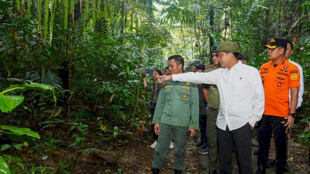 Menhut Raja Juli Tegaskan Bantimurung sebagai Kingdom of Butterfly Dunia