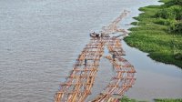 Gakkum Kehutanan Gagalkan Peredaran Kayu Ilegal, Amankan Rakit Kayu Berisi Ratusan Kayu di Ketapang Kalbar