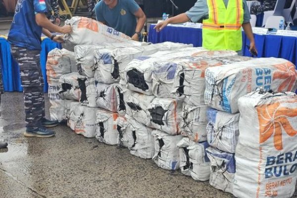 TNI AL dan Gakkum Kehutanan Gagalkan Penyelundupan 74 Ton Arang Bakau di Tanjung Priok