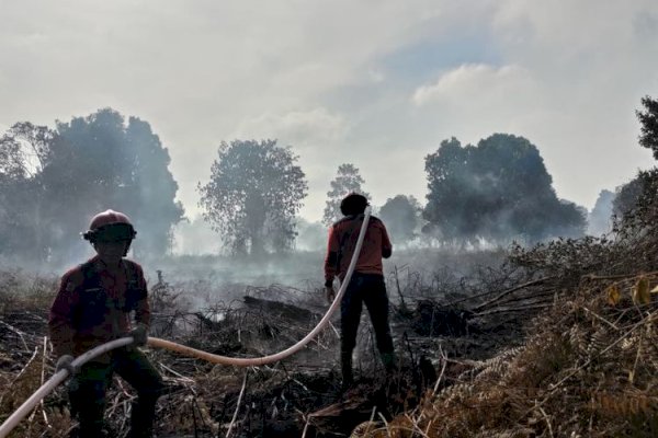 Tangani Karhutla Riau, Kemenhut dan Para Pihak Lakukan Pemadaman Gabungan Darat dan Udara