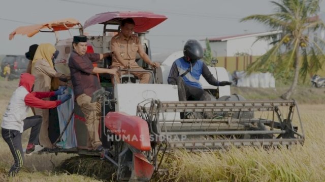 Bupati Sidrap, Syaharuddin Alrif menghadiri panen padi di Desa Salobukkang, Kecamatan Dua Pitue. (Dok. Pemkab Sidrap).