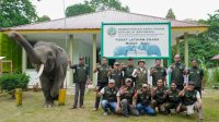 Menhut Raja Juli Tinjau PLG Sebanga dan PLG Minas, Perkuat Fasilitas dan Revitalisasi Konservasi Gajah di Riau