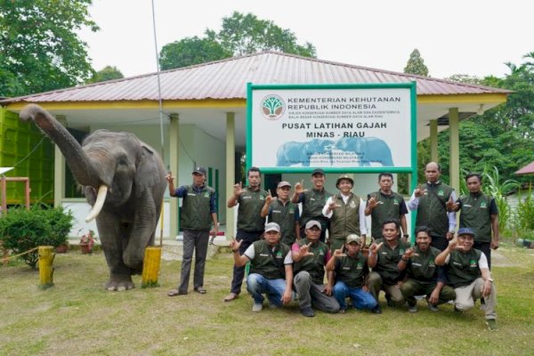 Menhut Raja Juli Tinjau PLG Sebanga dan PLG Minas, Perkuat Fasilitas dan Revitalisasi Konservasi Gajah di Riau