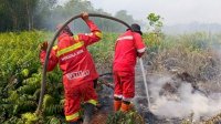 Manggala Agni Gerak Cepat Kendalikan Karhutla di Riau