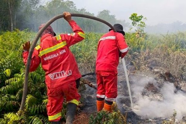Manggala Agni Gerak Cepat Kendalikan Karhutla di Riau