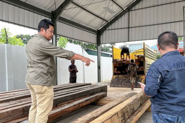 Gakkum Kehutanan Tetapkan Pemilik Kayu Asal Morowali Sebagai Tersangka Peredaran Kayu Ilegal di Sulsel