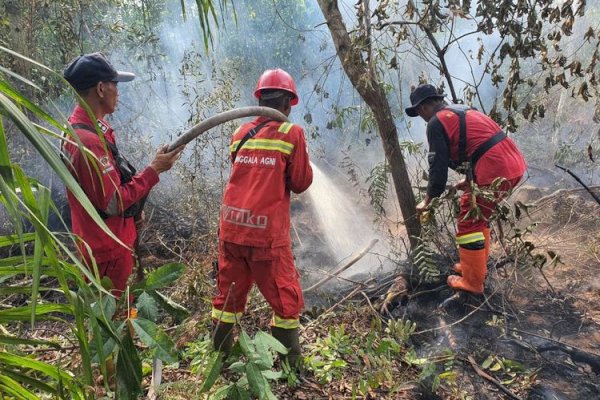 Kemenhut Kerahkan 387 Personel dan Armada Udara Atasi Karhutla di Riau