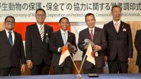 Indonesia&ndash;Jepang Perkuat Kerja Sama Konservasi Satwa Liar melalui Breeding Loan Komodo