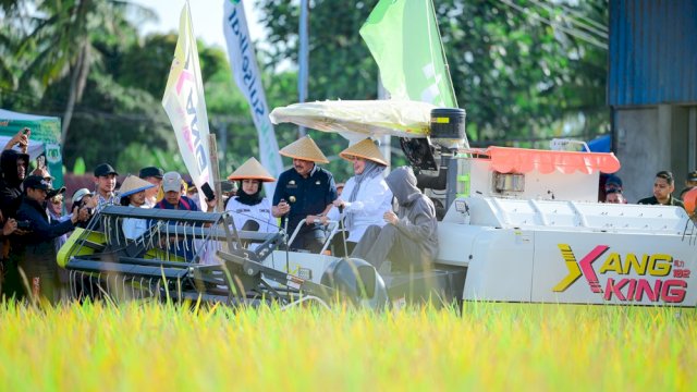 Panen Raya Pinrang Capai 6,8 Ton per Hektare, Perkuat Peran Sulsel sebagai Lumbung Pangan