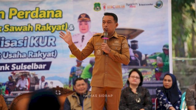 Bupati Sidrap Syaharuddin Alrif, saat memimpin kegiatan panen perdana CSR sekaligus sosialisasi KUR di Desa Mojong.