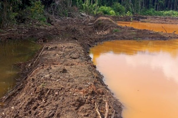 DLH Lutim Temukan Settling Pond Jebol, PT PUL Terancam Sanksi