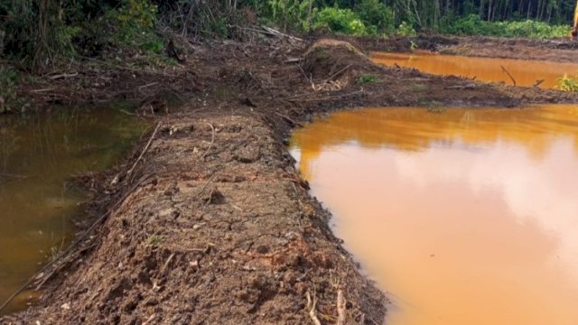 DLH Lutim Temukan Settling Pond Jebol, PT PUL Terancam Sanksi
