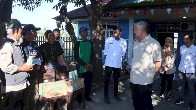 Bupati Pinrang H. A. Irwan Hamid, S.Sos meninjau langsung kondisi lahan pertanian di Kelurahan Sipatokkong, Kecamatan Watang Sawitto.