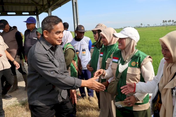 Jaga Panen Tetap Aman, Wabup Sudirman Pimpin Langsung Pengendalian OPT