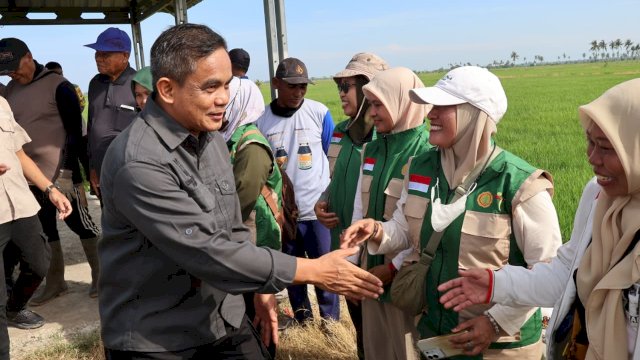 Wakil Bupati Pinrang, Sudirman Bungi, turun langsung memantau kegiatan OPT.