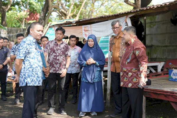 Munafri Tinjau Urban Farming di Tamalate–Wajo, Targetkan Kemandirian Pangan Bagi Warga