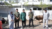 Iduladha 2026: Pemkot Makassar Salurkan Hewan Kurban untuk Masyarakat dan Cleaning Service