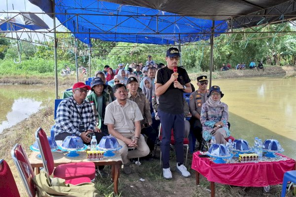 Sekda A. Calo Kerrang Pimpin Gerakan Tanam Serempak, Pinrang Siap Perkuat Swasembada Pangan