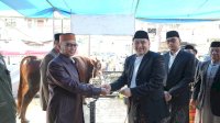 Pemkot Makassar Distribusikan 7.261 Sapi dan 402 Kambing Kurban, Appi: Disalurkan Harus Jujur dan Adil