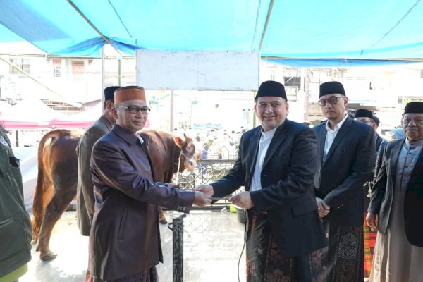 Pemkot Makassar Distribusikan 7.261 Sapi dan 402 Kambing Kurban, Appi: Disalurkan Harus Jujur dan Adil