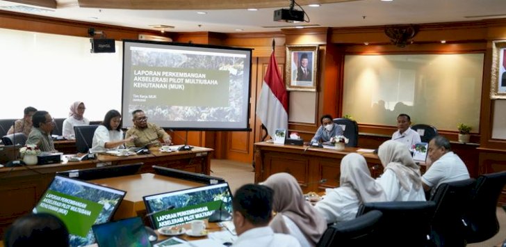 Menteri Kehutanan Dorong Percepatan Multiusaha Kehutanan untuk Perkuat Ekonomi Hutan Berkelanjutan