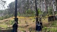 Ubah 1,3 Hektare Hutan Jadi Peternakan Ayam, Pengusaha di Bone Terancam 10 Tahun Penjara