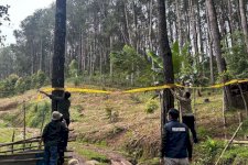 Ubah 1,3 Hektare Hutan Jadi Peternakan Ayam, Pengusaha di Bone Terancam 10 Tahun Penjara