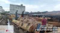 Operasi Gabungan Kemenhut di Sumut, Tertibkan 5 Sawmill-Ribuan Kayu Bulat Tanpa Legalitas Ditemukan