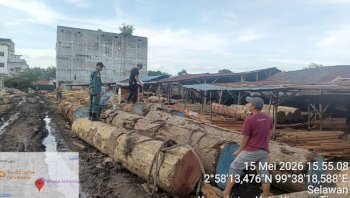 Operasi Gabungan Kemenhut di Sumut, Tertibkan 5 Sawmill-Ribuan Kayu Bulat Tanpa Legalitas Ditemukan