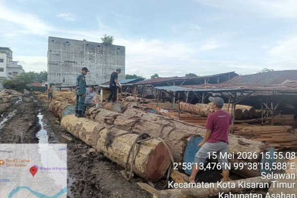 Operasi Gabungan Kemenhut di Sumut, Tertibkan 5 Sawmill-Ribuan Kayu Bulat Tanpa Legalitas Ditemukan