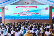 Ekonomi Desa Berbasis Perhutanan Sosial Kian Kuat lewat Kopdes Merah Putih dan Panen Raya Jagung