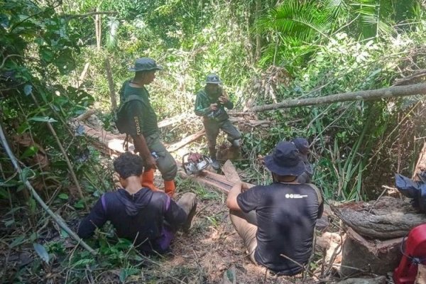Gakkum Kehutanan Tindak Pembalakan Liar di TWA Mangolo, Dua Orang Ditetapkan Tersangka