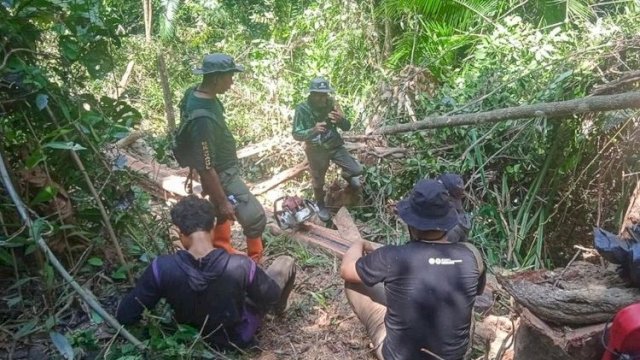 Gakkum Kehutanan Tindak Pembalakan Liar di TWA Mangolo, Dua Orang Ditetapkan Tersangka
