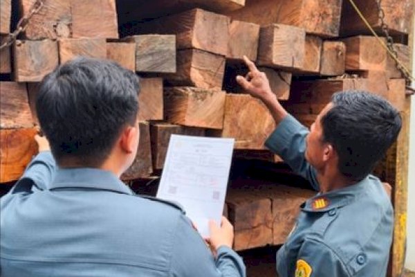 Gakkum Kehutanan Bongkar Peredaran Kayu Ilegal Lintas Provinsi di Sulawesi, Tiga Tersangka Siap Disidangkan