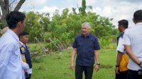 Sekolah Rakyat Hadir di Pinrang, Diharapkan Buka Peluang Usaha dan Lapangan Ekonomi Baru