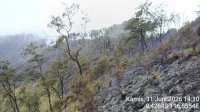 Kemenhut Padamkan Kebakaran Savana Bukit Sempana, 25 Pendaki Berhasil Dievakuasi