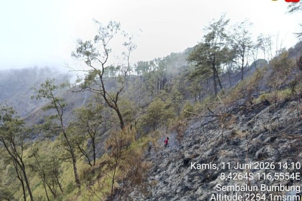 Kemenhut Padamkan Kebakaran Savana Bukit Sempana, 25 Pendaki Berhasil Dievakuasi
