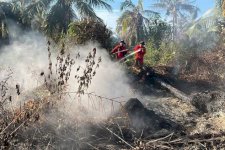 Manggala Agni Kemenhut Gerak Cepat Gempur Karhutla Riau