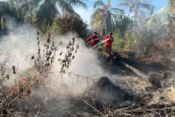 Manggala Agni Kemenhut Gerak Cepat Gempur Karhutla Riau