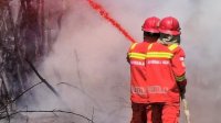 Perkuat Sinergi Bilateral dan Swasta, Kementerian Kehutanan Tingkatkan Kapasitas SDM Dalkarhutla